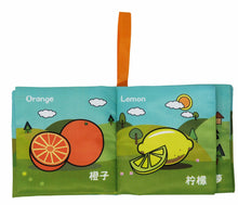 Load image into Gallery viewer, Crinkle &amp; Squeaking Baby Basics Chinese Bilingual Soft Baby Book Set (6 Books)- interior view